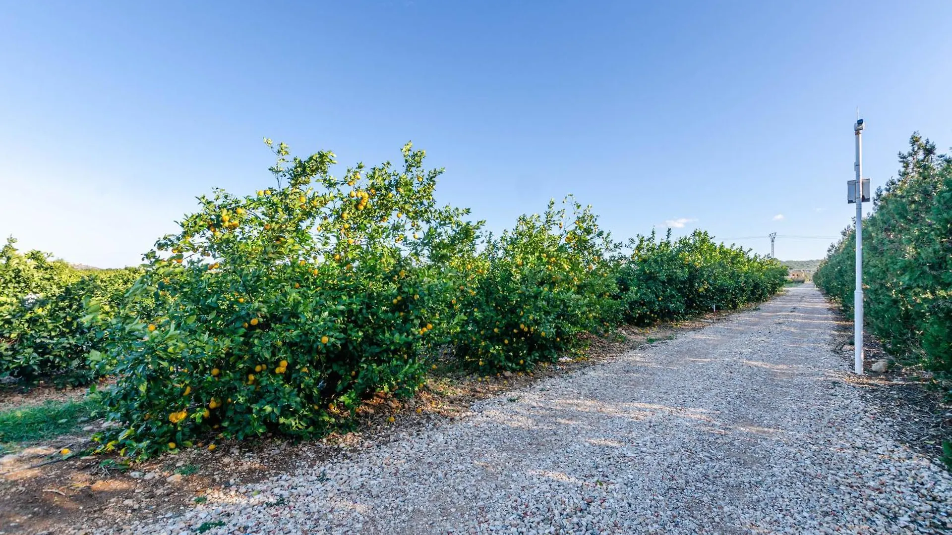 El Limonar De Mallorca - Agroturismo Ballerics Ισπανία