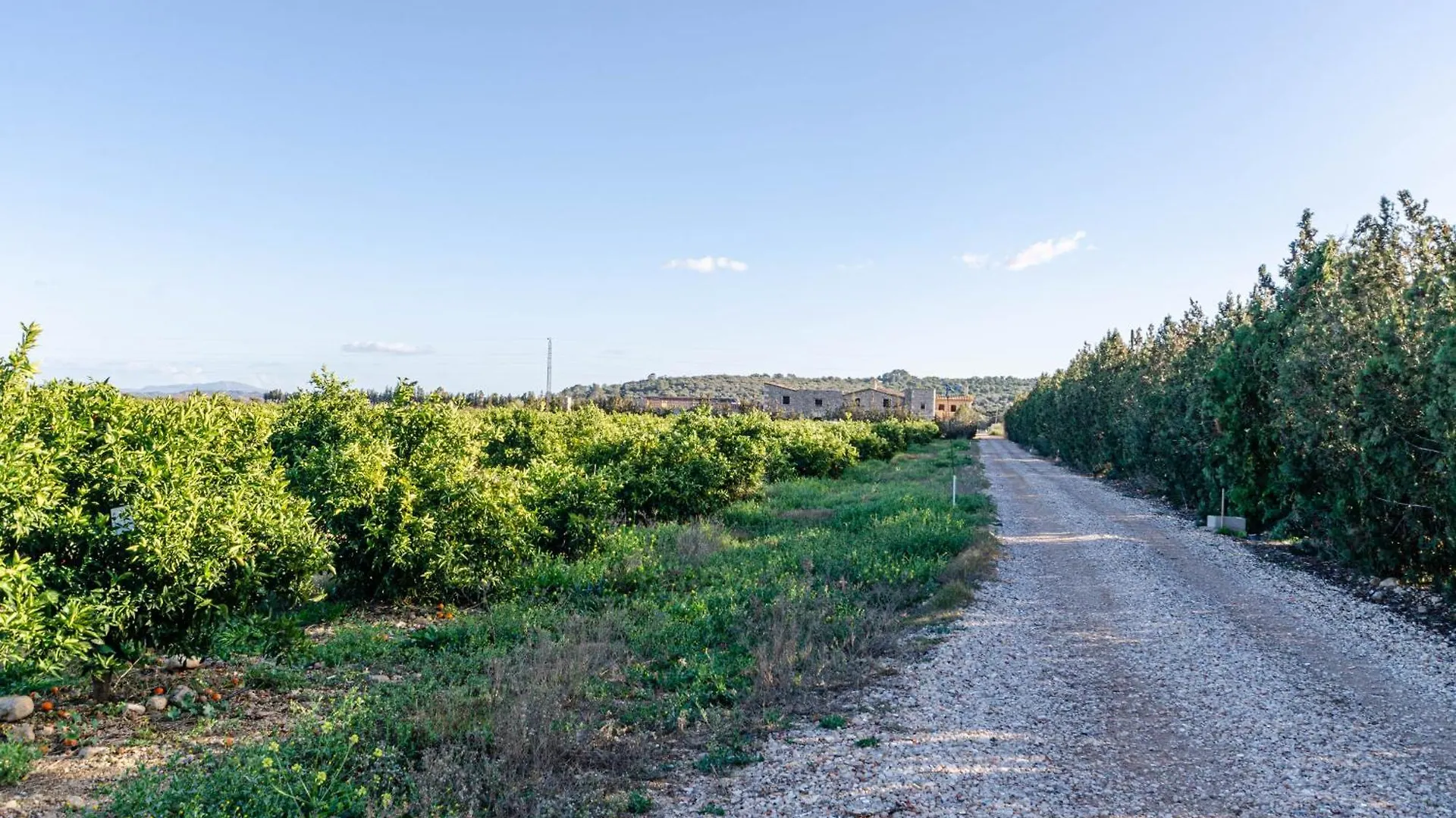 El Limonar De Mallorca - Agroturismo Ballerics 0*,  Spain